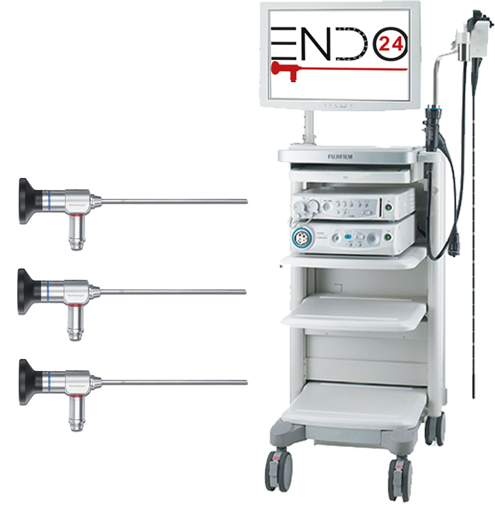 endo 24